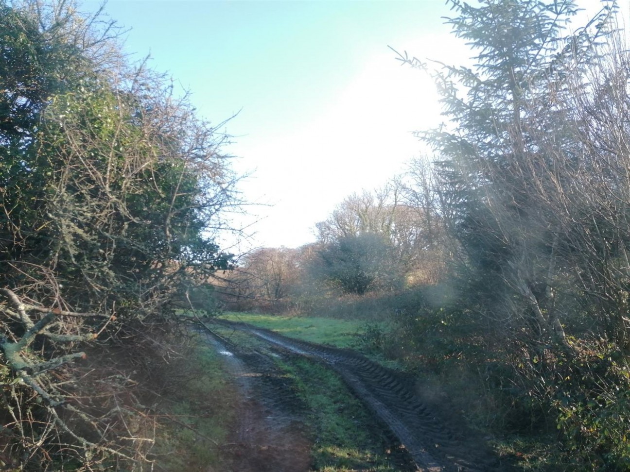 Nolton Haven, Haverfordwest, SA62