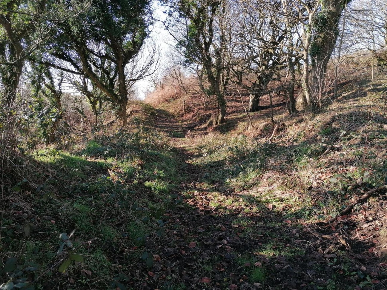 Nolton Haven, Haverfordwest, SA62