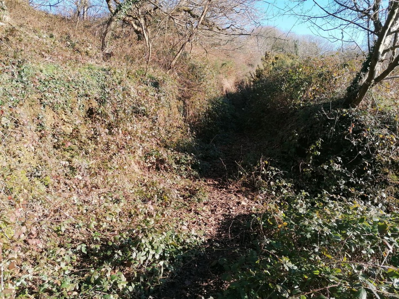 Nolton Haven, Haverfordwest, SA62