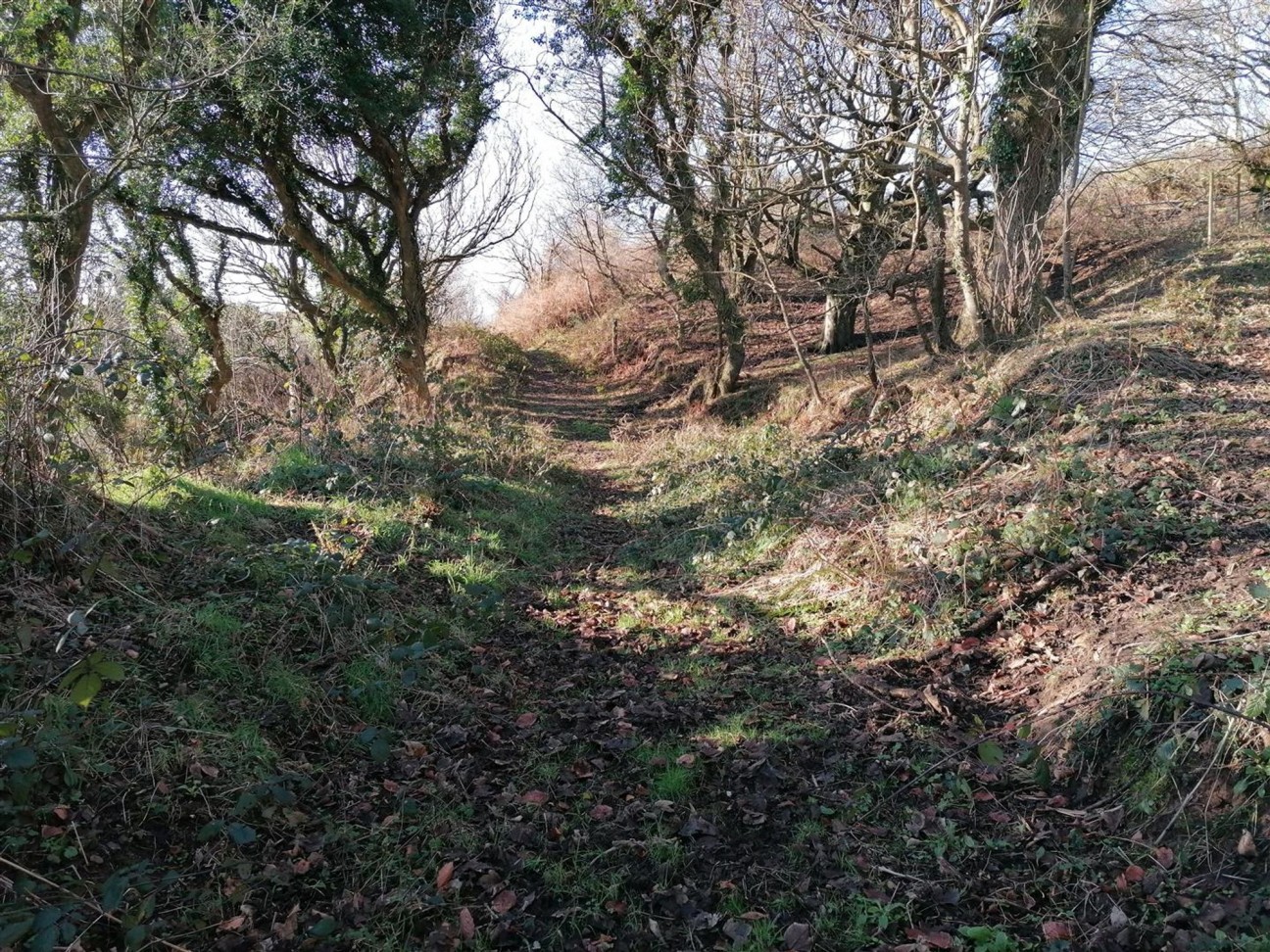 Nolton Haven, Haverfordwest, SA62