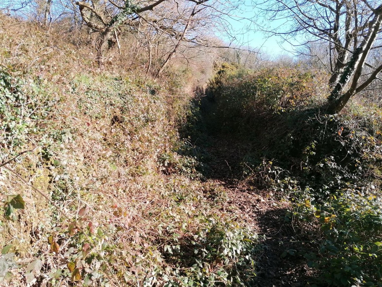 Nolton Haven, Haverfordwest, SA62