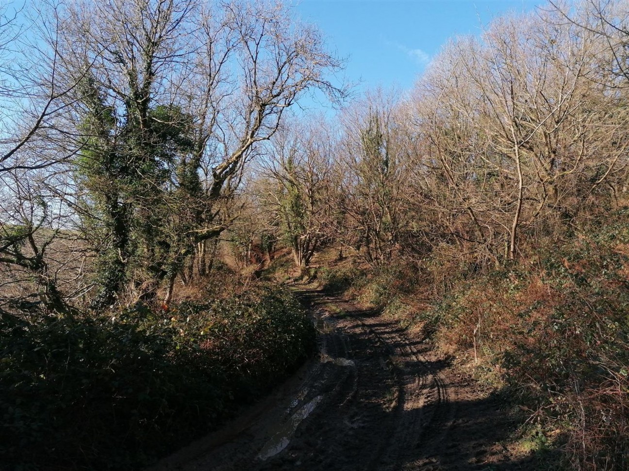 Nolton Haven, Haverfordwest, SA62