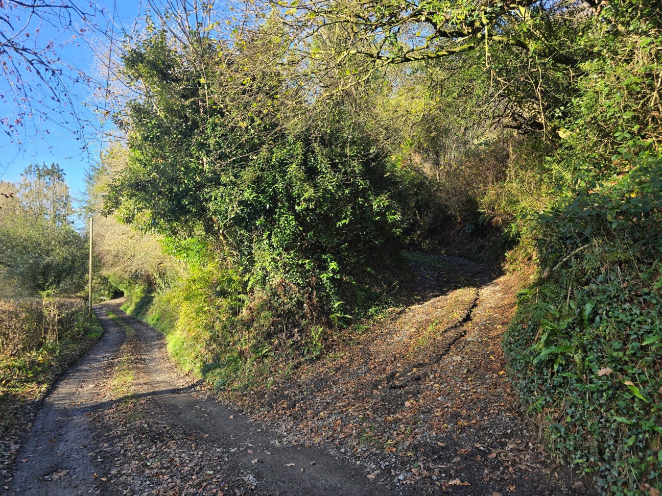 Login, Whitland, SA34