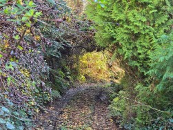 Login, Whitland, SA34