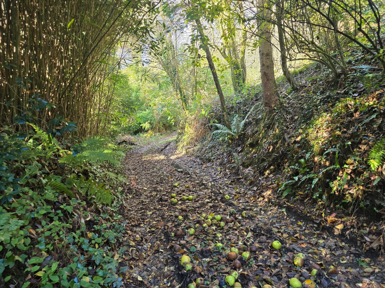 Login, Whitland, SA34