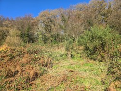 Login, Whitland, SA34