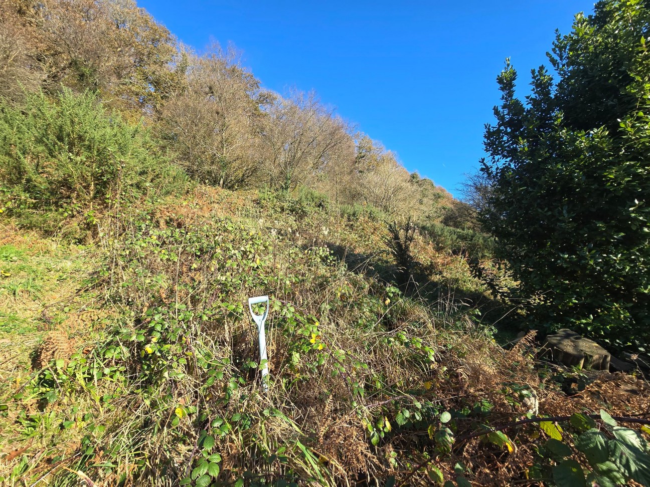 Login, Whitland, SA34