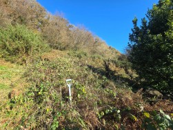 Login, Whitland, SA34