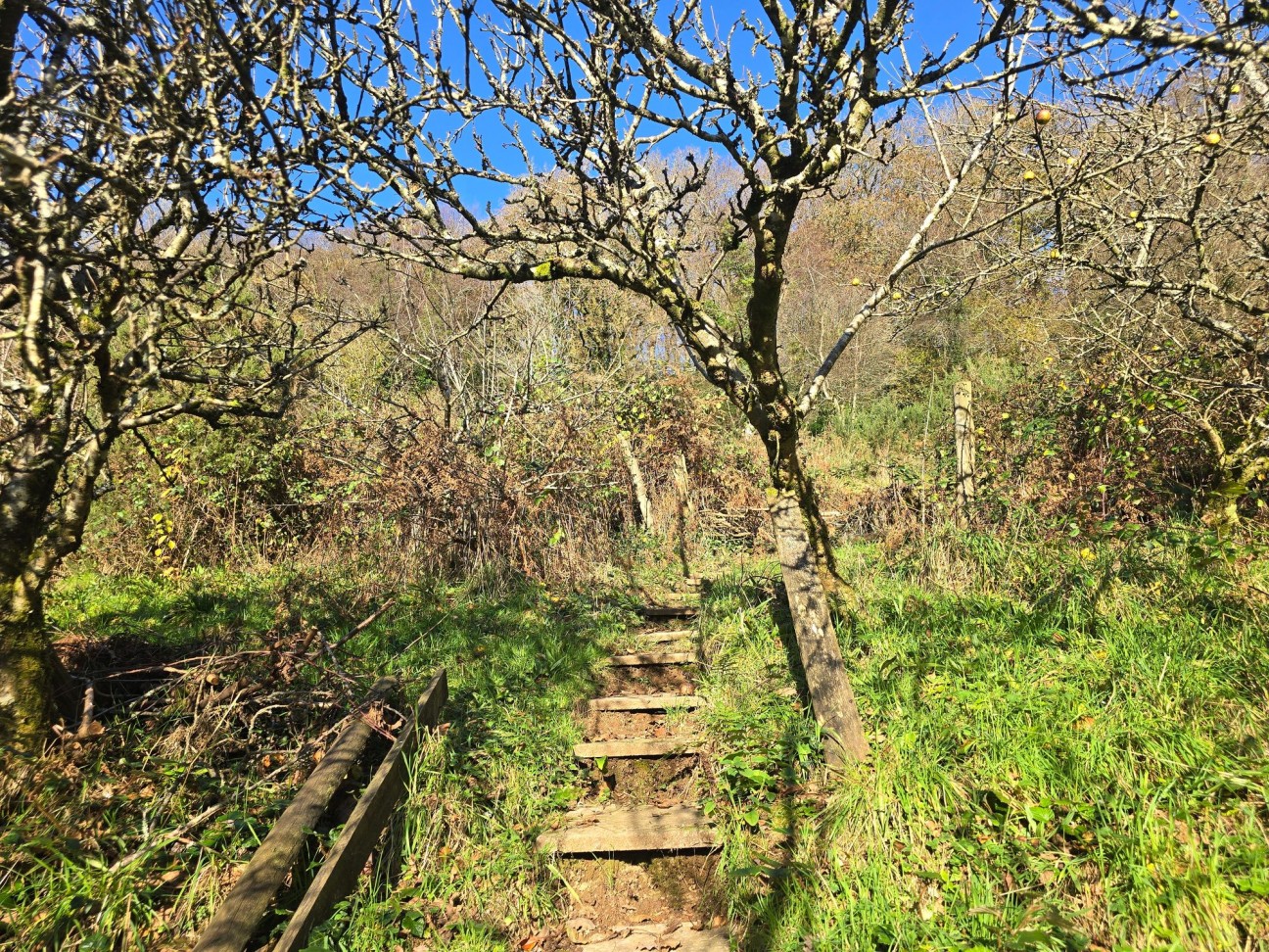 Login, Whitland, SA34