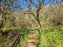 Login, Whitland, SA34