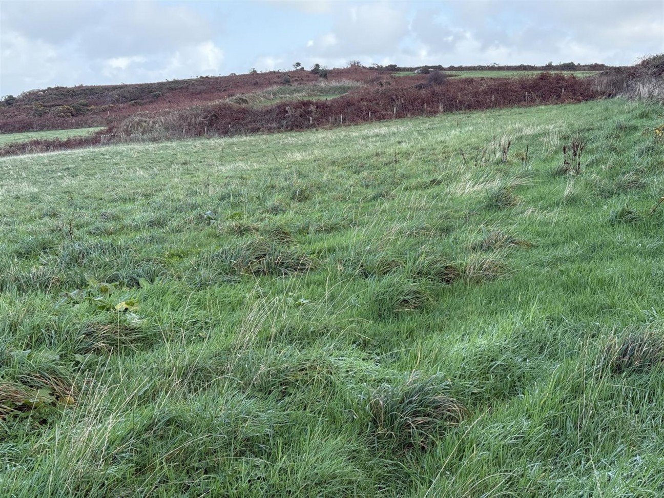 Cilau West, Goodwick, SA64