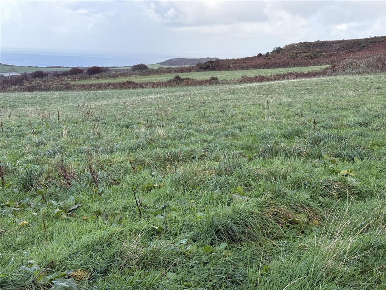 Cilau West, Goodwick, SA64