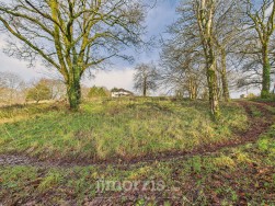 Llawhaden, Narberth, SA67