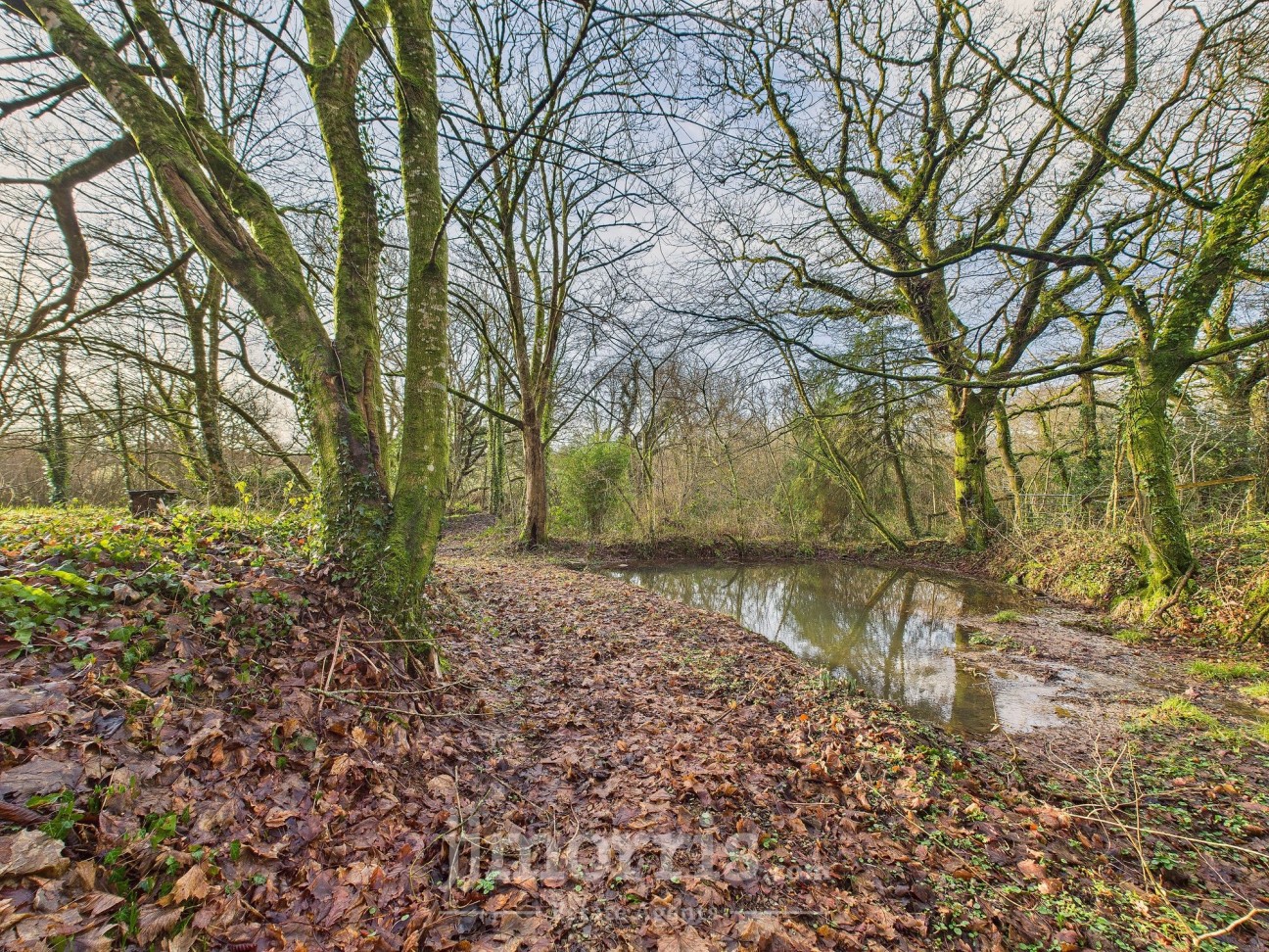 Llawhaden, Narberth, SA67