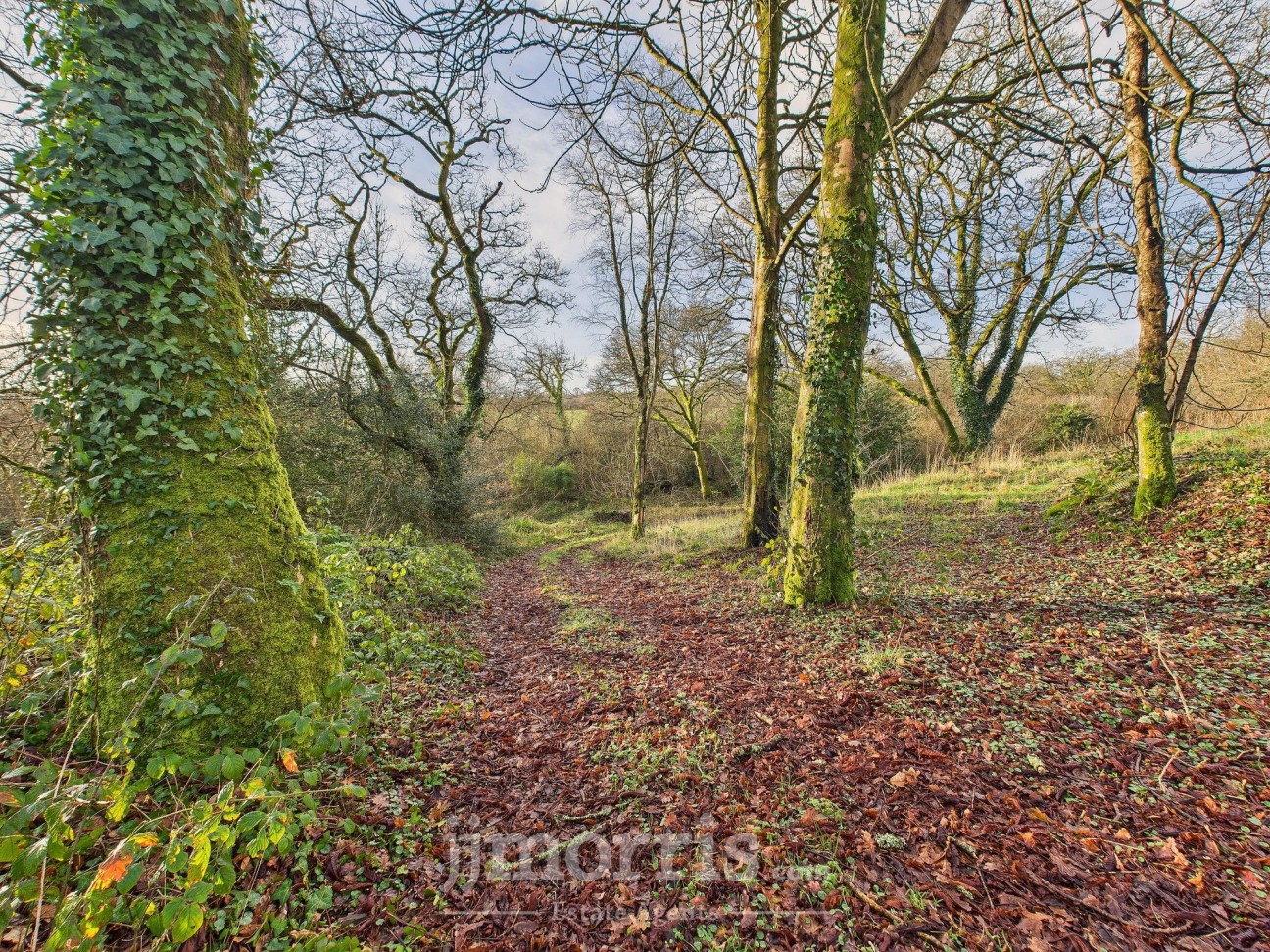 Llawhaden, Narberth, SA67