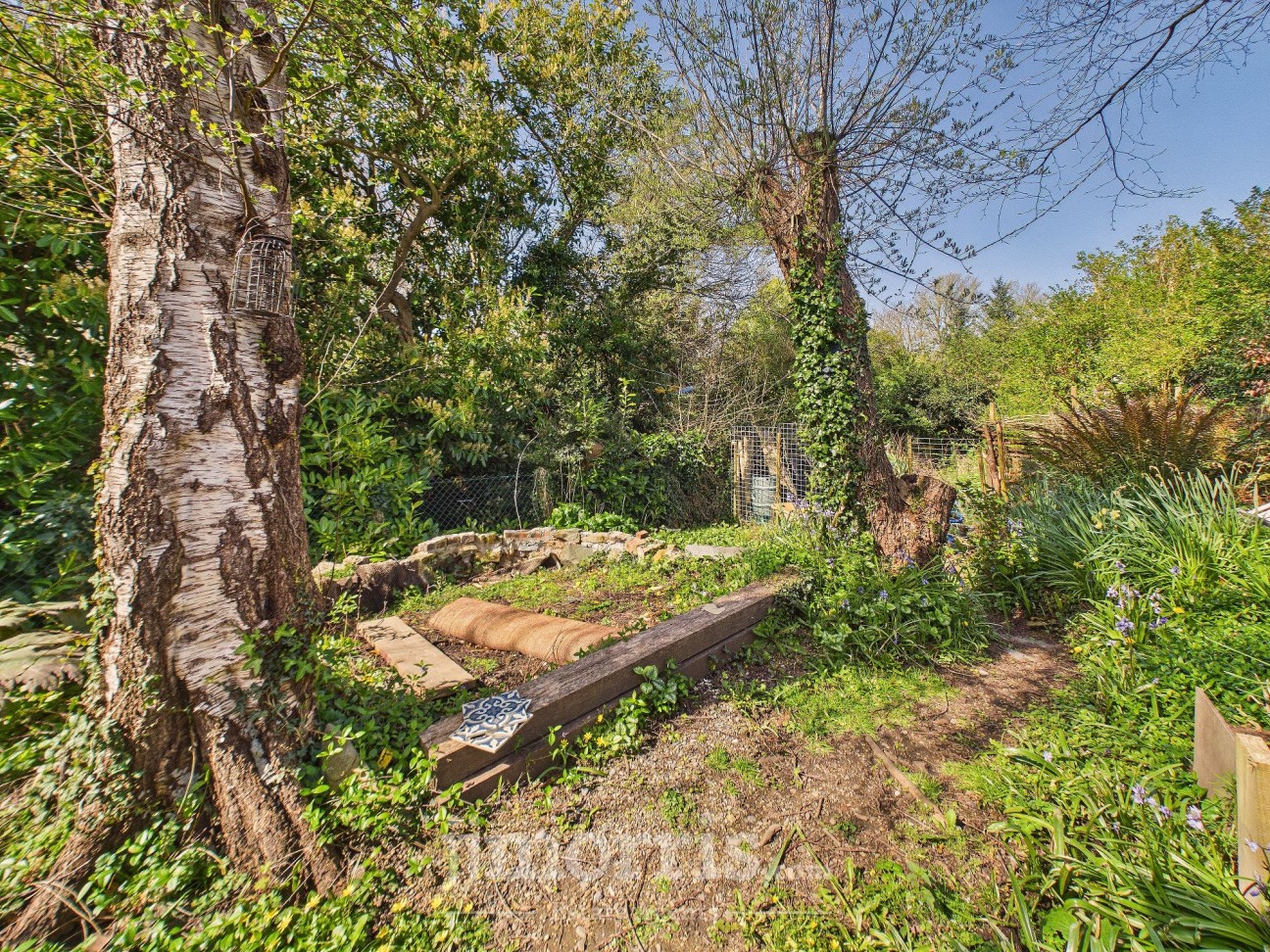 Goat Street, Newport, SA42