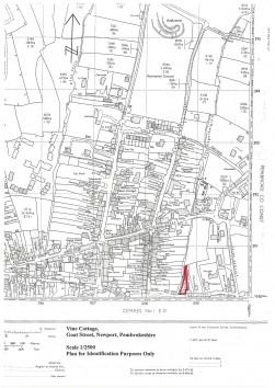 Goat Street, Newport, SA42