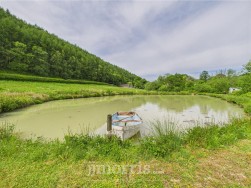 Cwm Cou, Newcastle Emlyn, SA38