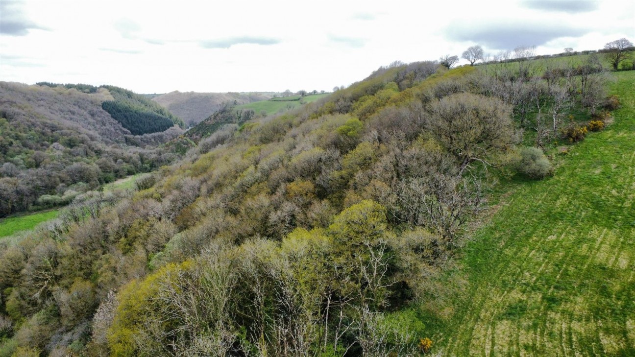 13.43 Acres - Offered For Sale In 3 Smaller Lots, Carmarthen, SA33