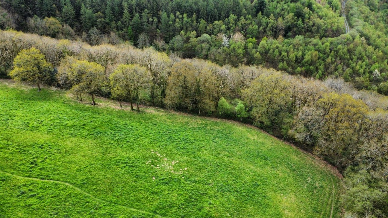 13.43 Acres - Offered For Sale In 3 Smaller Lots, Carmarthen, SA33