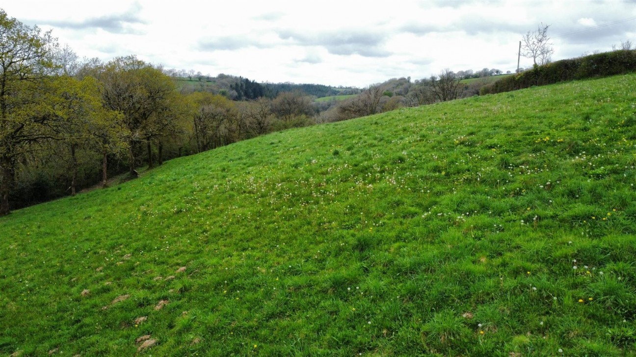 13.43 Acres - Offered For Sale In 3 Smaller Lots, Carmarthen, SA33