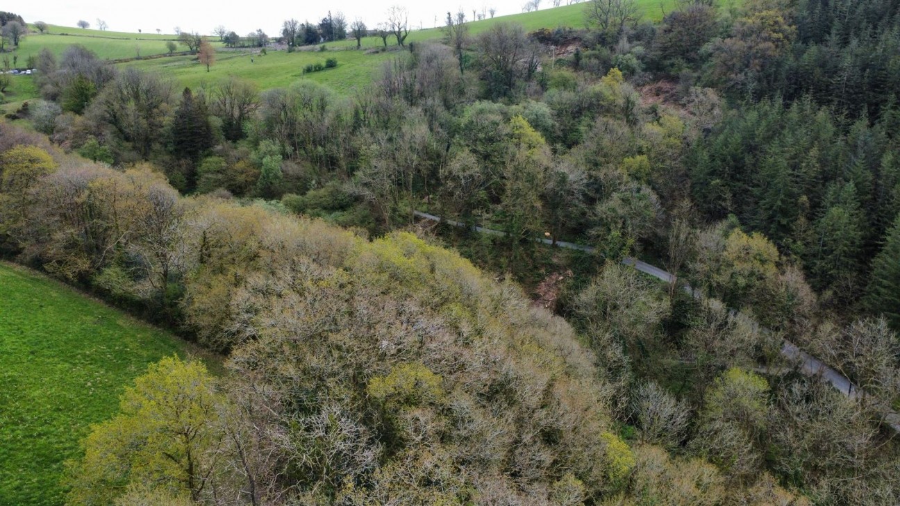 13.43 Acres - Offered For Sale In 3 Smaller Lots, Carmarthen, SA33