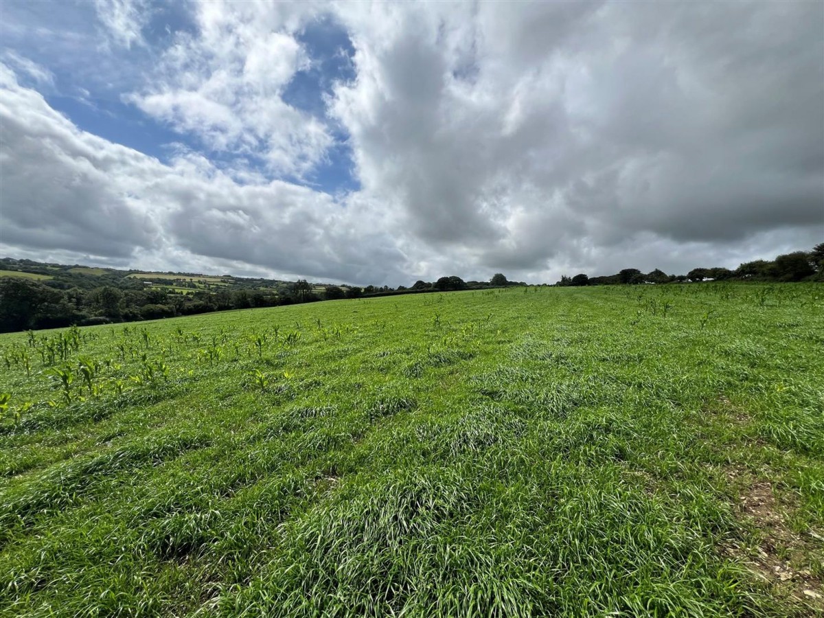 Penrallt Dolau, Clydey, SA35 | JJ Morris Chartered Surveyors & Estate Agents