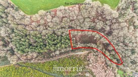 Felindre Farchog, Felindre, SA41