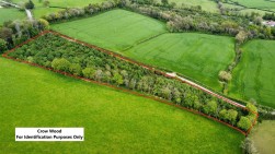 Llawhaden, Narberth, SA67