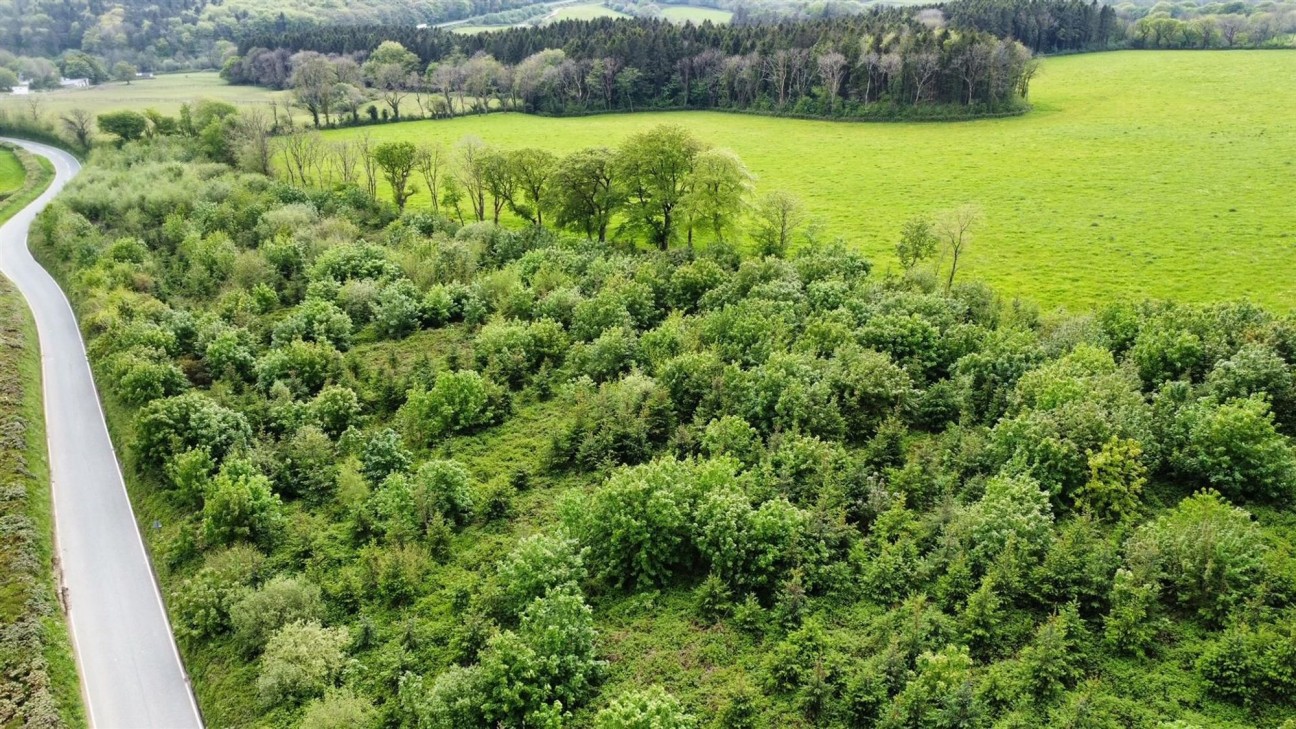 Llawhaden, Narberth, SA67