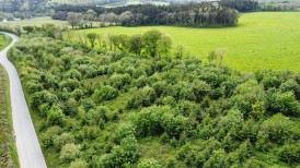 Llawhaden, Narberth, SA67