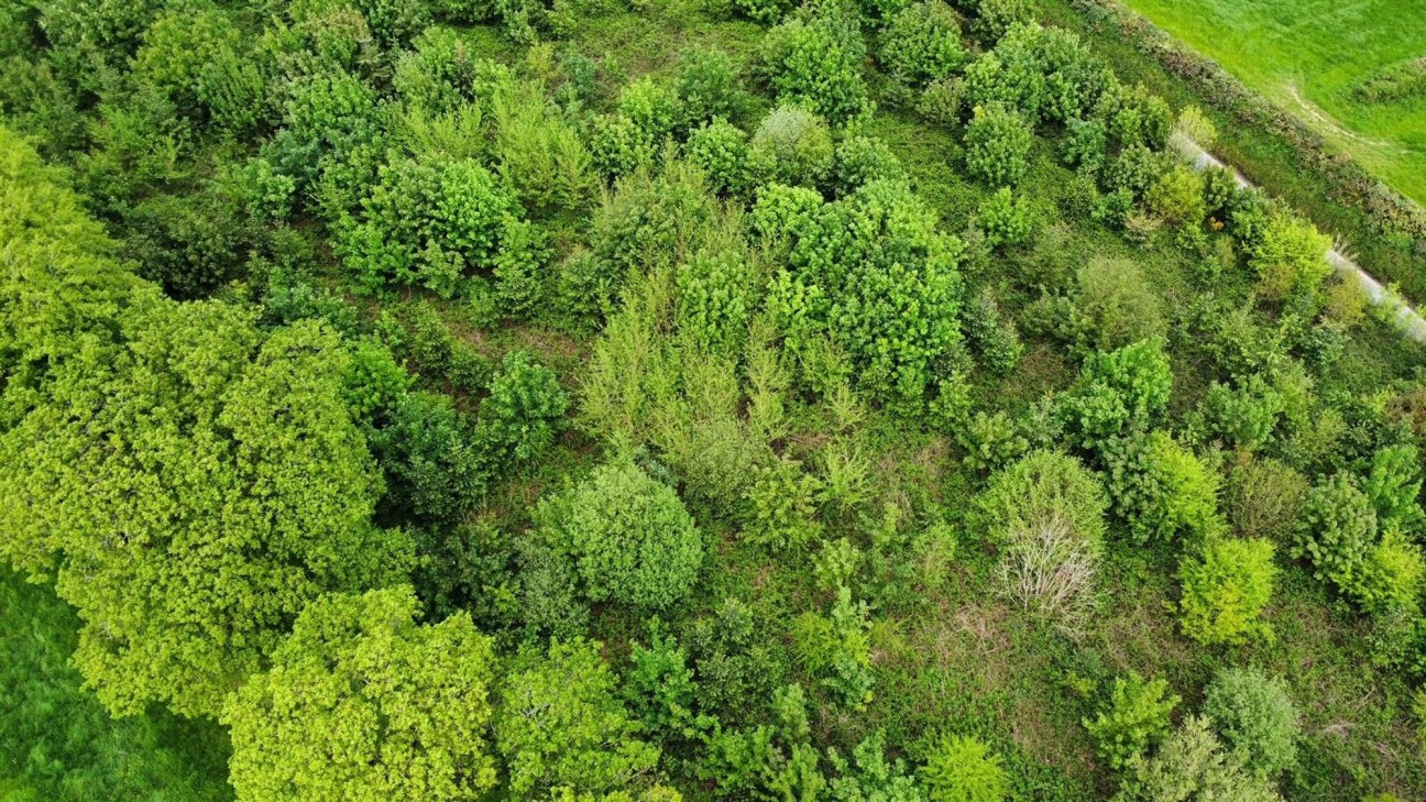 Llawhaden, Narberth, SA67