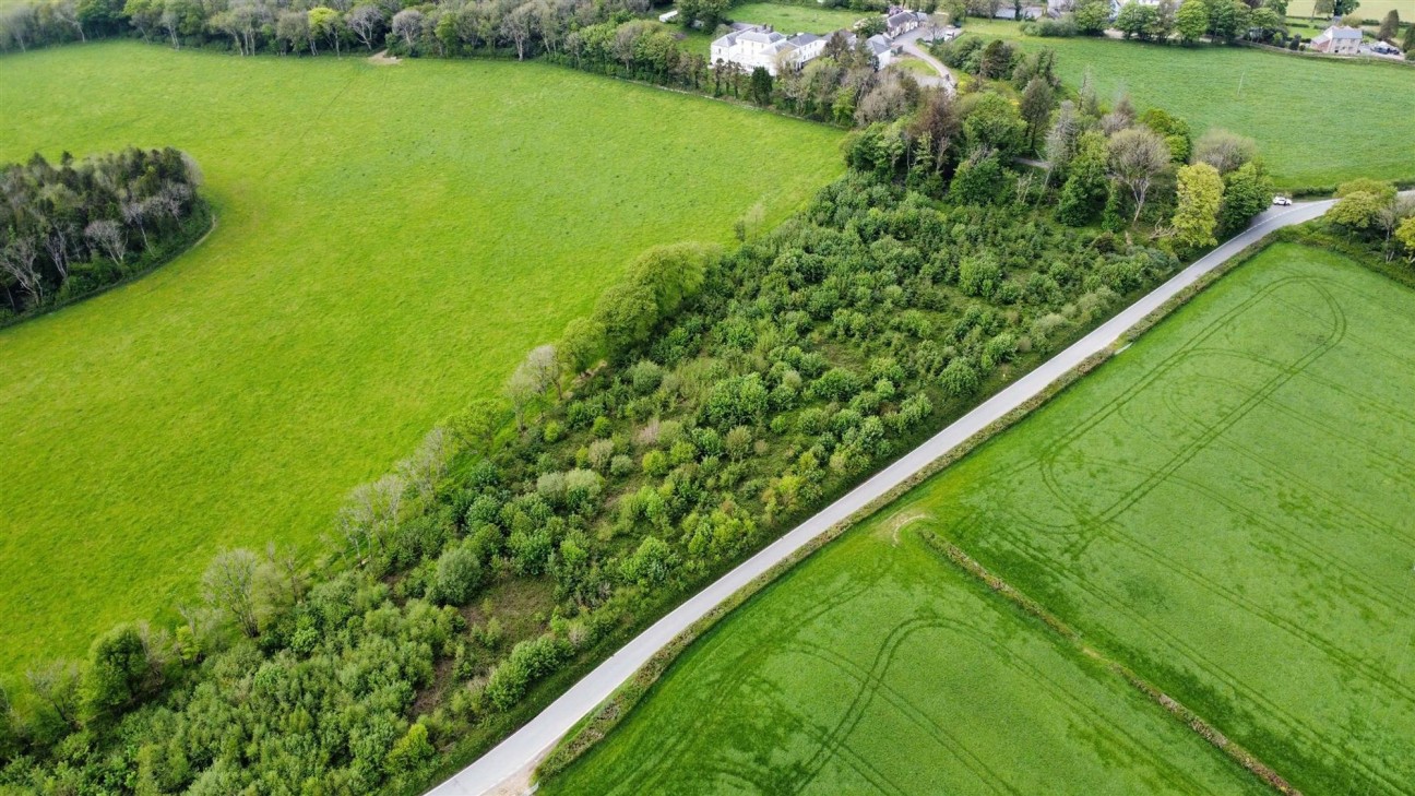 Llawhaden, Narberth, SA67