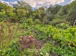 Login, Whitland, SA34