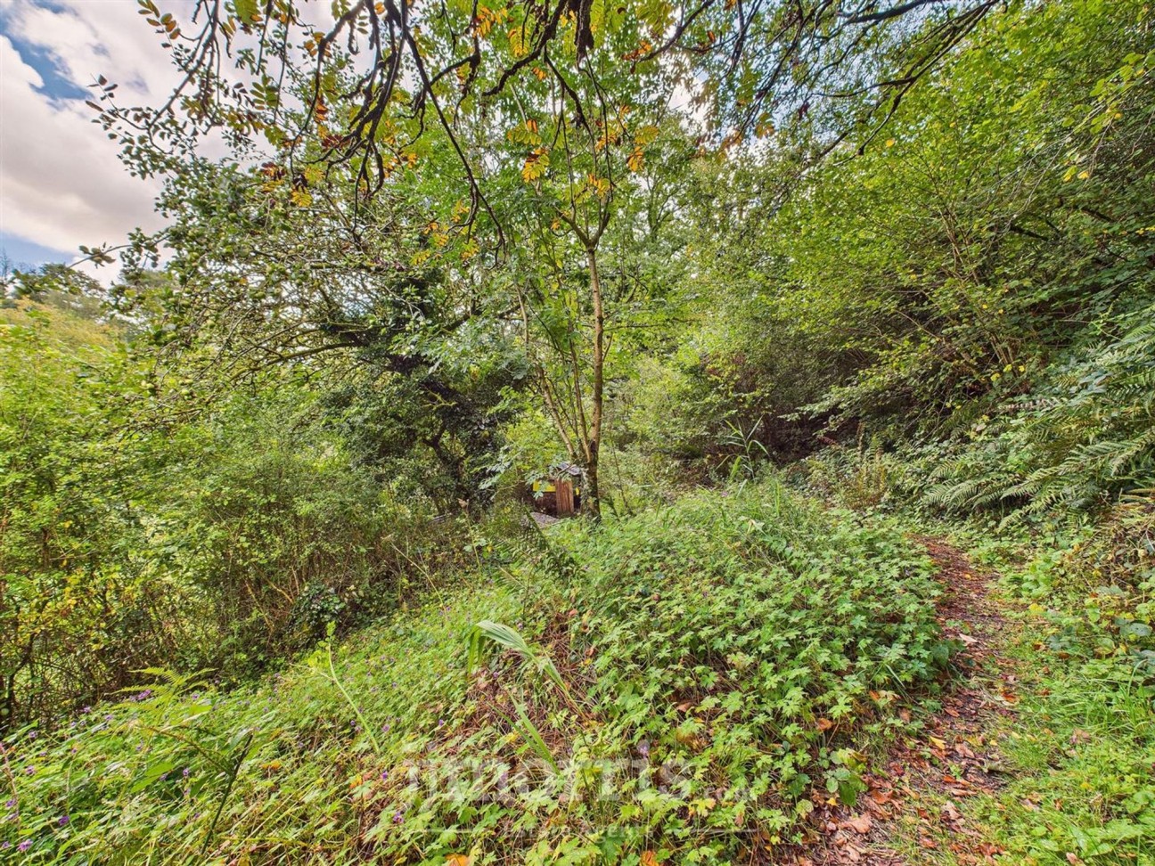 Login, Whitland, SA34