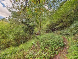 Login, Whitland, SA34