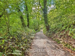 Login, Whitland, SA34