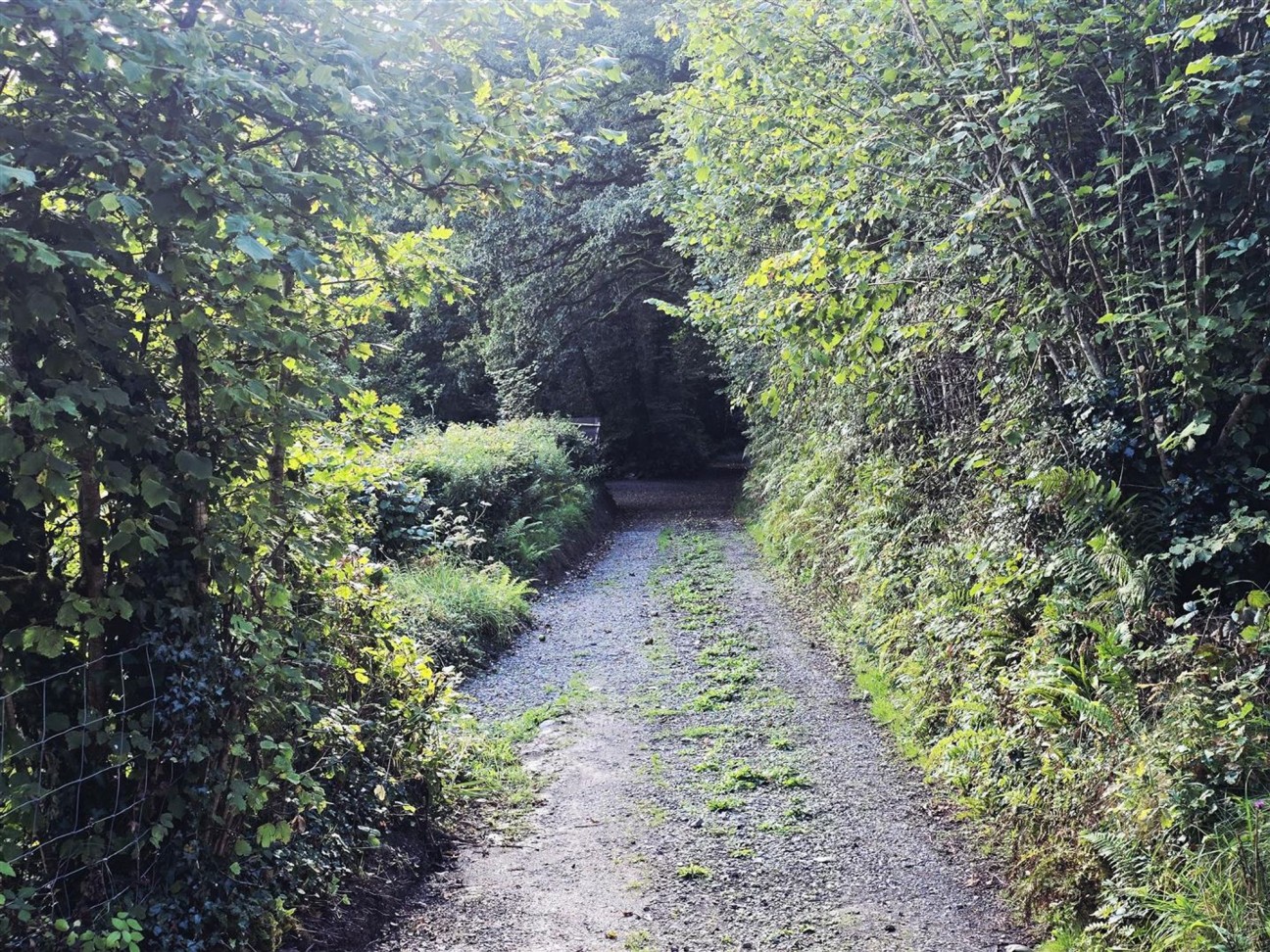 Login, Whitland, SA34