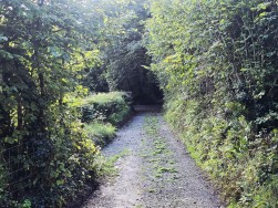 Login, Whitland, SA34