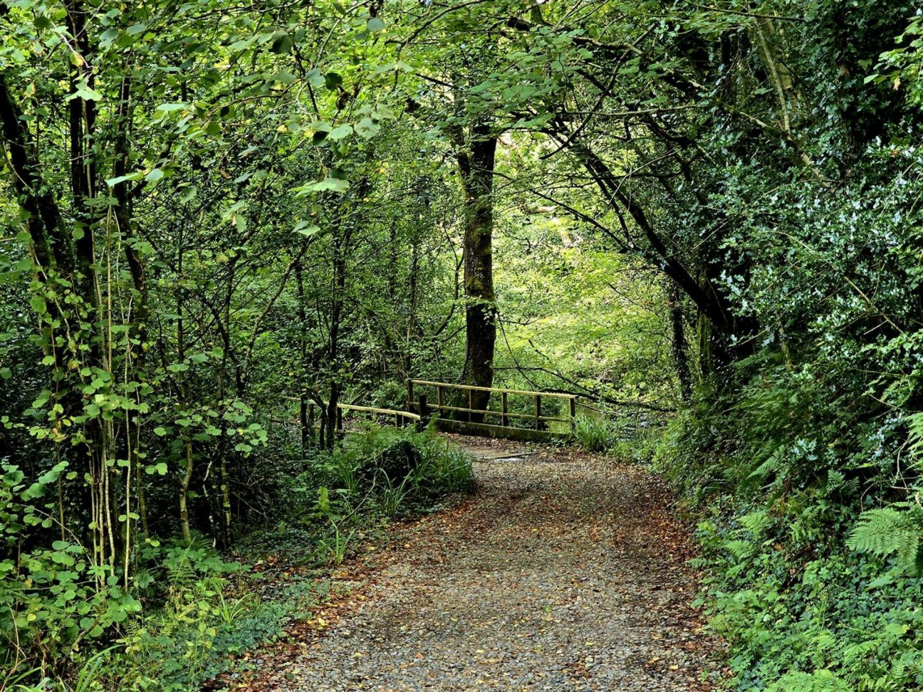 Login, Whitland, SA34