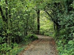 Login, Whitland, SA34