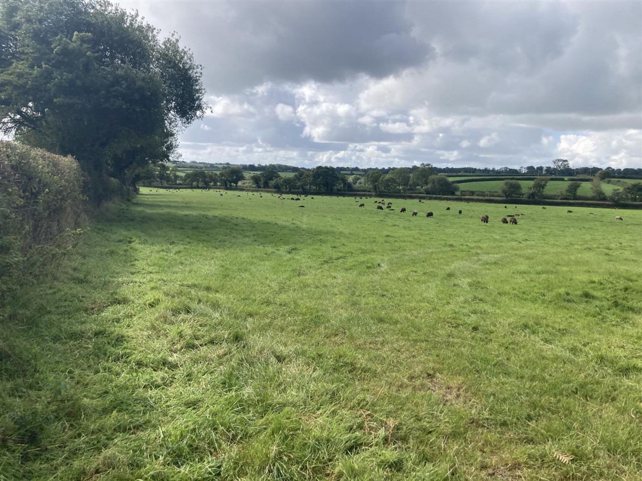 Of Land At Llawhaden, Narberth, SA67