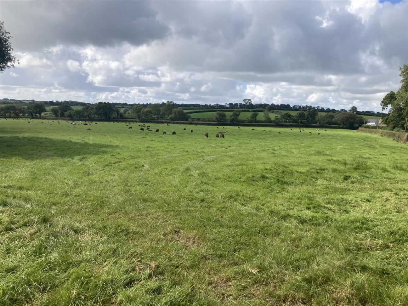 Of Land At Llawhaden, Narberth, SA67