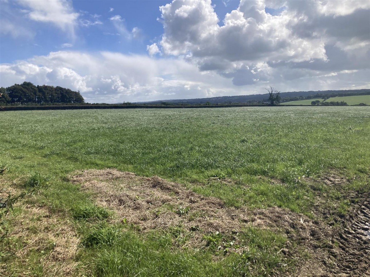 Of Land At Llawhaden, Narberth, SA67