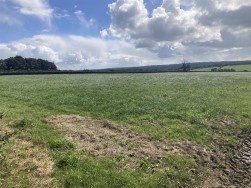 Of Land At Llawhaden, Narberth, SA67