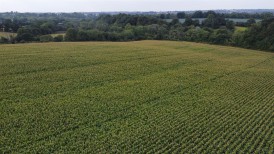 Shoals Hook Lane, Haverfordwest, SA61