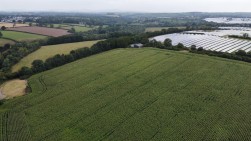 Shoals Hook Lane, Haverfordwest, SA61