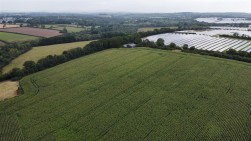 Shoals Hook Lane, Haverfordwest, SA61