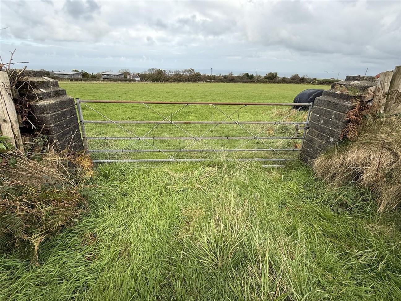 Pasture Land, Square And Compass, SA62