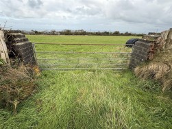 Pasture Land, Square And Compass, SA62